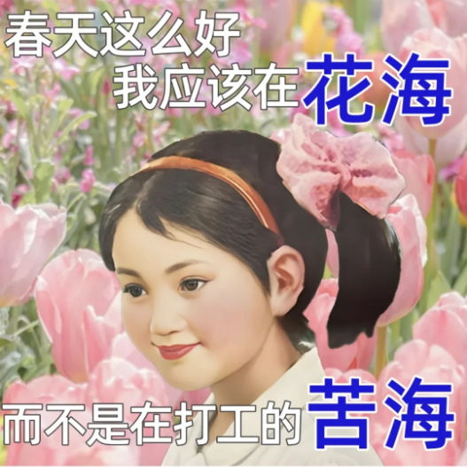 202505061304252988.Png